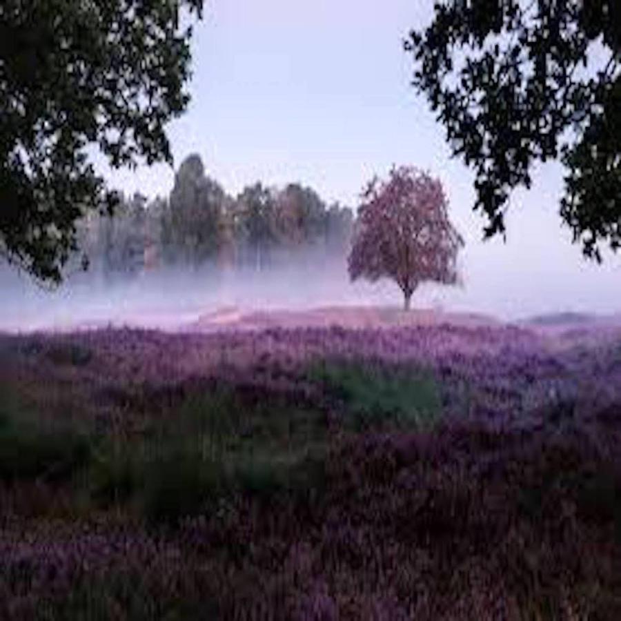 Ferienhaus Luneburger Heide Eschede Exteriér fotografie